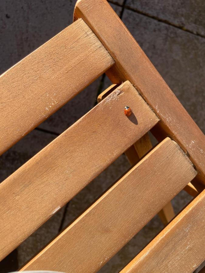 Duplex 6 Plazas Para Desconectar De La Rutina Oliana Exteriör bild